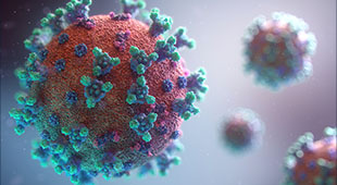 A rendering of the coronavirus spike protein