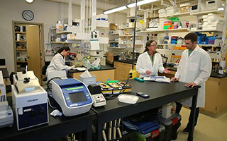 Three technicians in white coats work in a lab together. The two technicians in the foreground are engaged in animated conversation.