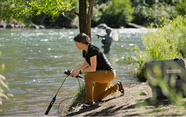 A researcher kneels on the bank of a stream and looks into the water