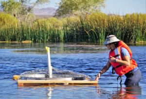 DRI researcher Gabrielle Boisrame, Ph.D., inspects a floating evaporation pan at The Nature Conservancy’s 7J Ranch on September 18, 2019. Credit: Ali Swallow/DRI.