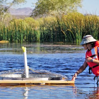 DRI researcher Gabrielle Boisrame, Ph.D., inspects a floating evaporation pan at The Nature Conservancy’s 7J Ranch on September 18, 2019. Credit: Ali Swallow/DRI.